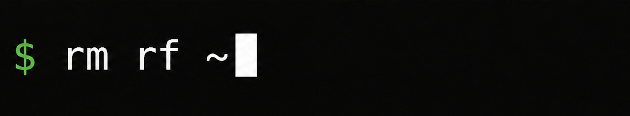 Terminal prompt showing $ rm rf ~ (missing dash)